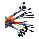 DUALTRON VICTOR | CONTROLEUR 60V30A (DV / LDV)