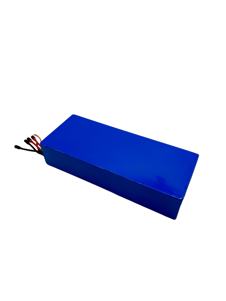 DUALTRON VICTOR & LUXURY & SPIDER 2 & FOREVER LTD | BATTERIE 60V24AH