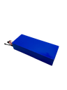 DUALTRON VICTOR & LUXURY & SPIDER 2 & FOREVER LTD | BATTERIE 60V24AH