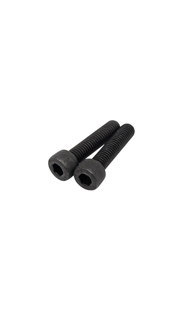 DUALTRON MINI & MINI DOUBLE MOTEUR & TOGO LTD | FRONT FORK SCREW
