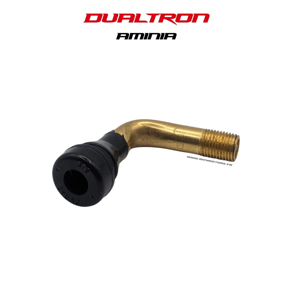 DUALTRON AMINIA MONO MOTEUR & DOLPHIN | VALVE