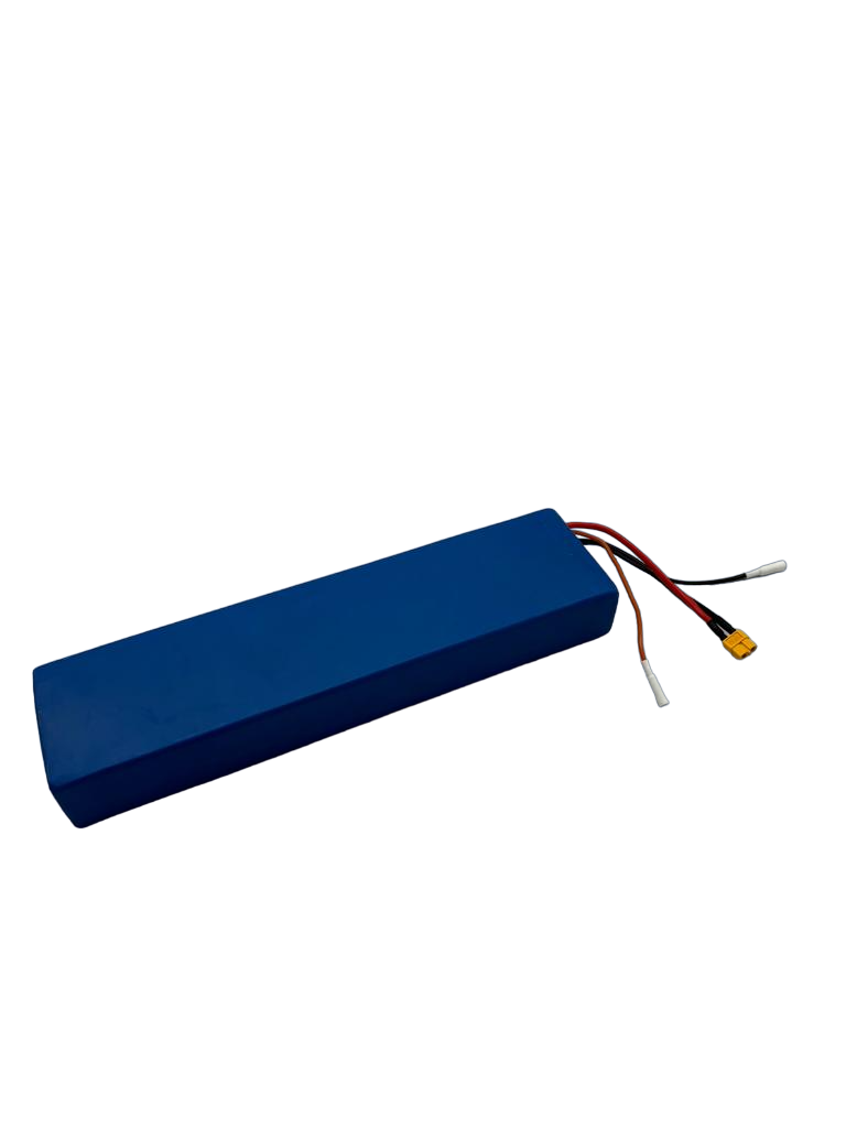 DUALTRON TOGO | 36V 12 AH BATTERY