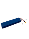 DUALTRON TOGO | BATTERIE 36V 12 AH