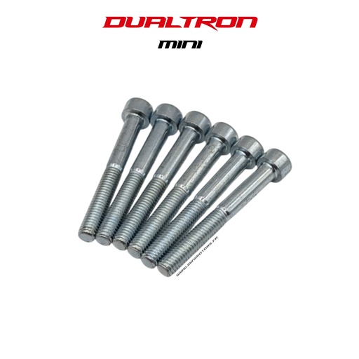 [DLT00417] DUALTRON MINI | STEERING COLUMN SCREW (X6)