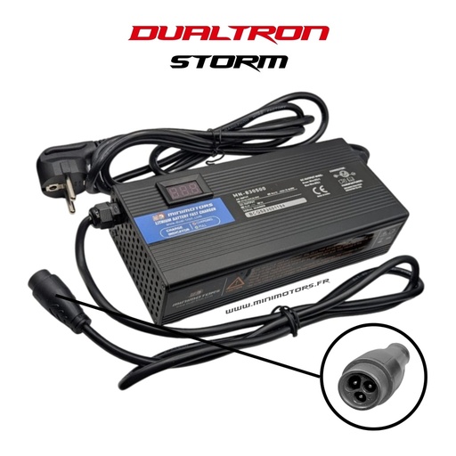 [DLT00460] DUALTRON X LTD & STORM LTD | CHARGEUR RAPIDE 95.4V4A