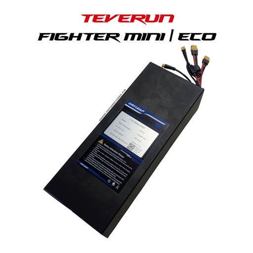 [TVR00525] TEVERUN FIGHTER MINI 2024 & ECO 2025 | BATTERIE 52V 20AH