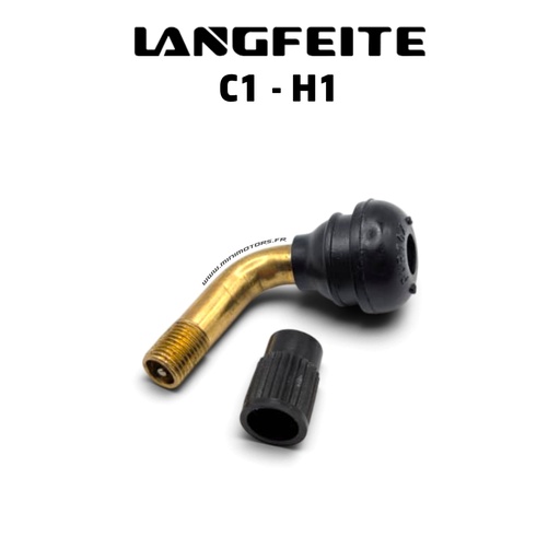 [LAN00260] LANGFEITE C1, H1 | VALVE COUDEE