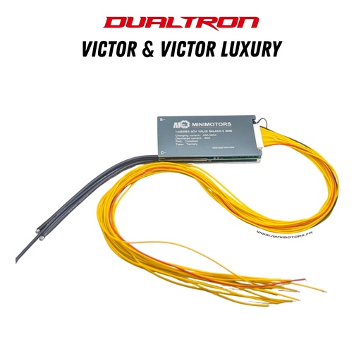 [DLT01922] DUALTRON VICTOR & VICTOR LUXURY (V1&V2) | BMS 60V24A & 60V30A