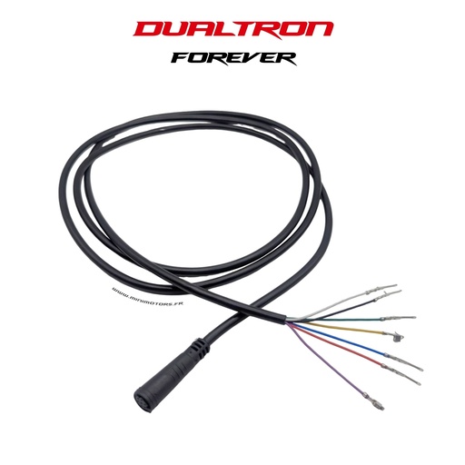 [DLT01938] DUALTRON FOREVER | CABLE COMMODO CONTROLEUR