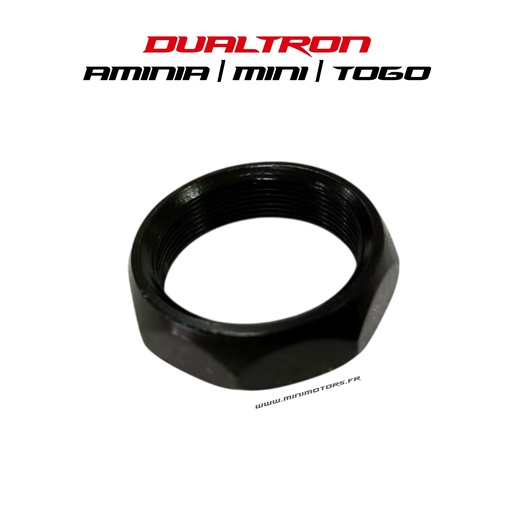 [DLT01166] DUALTRON MINI & TOGO | STEERING COLUMN LOWER NUT